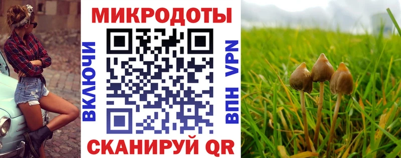 Галлюциногенные грибы Cubensis  как найти закладки  Спасск-Дальний 